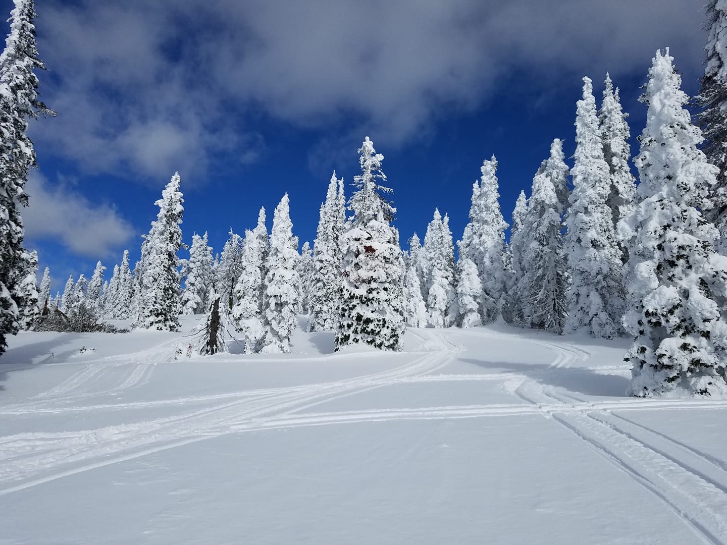 Island Park - Rocky Mountain Sled Conditions
